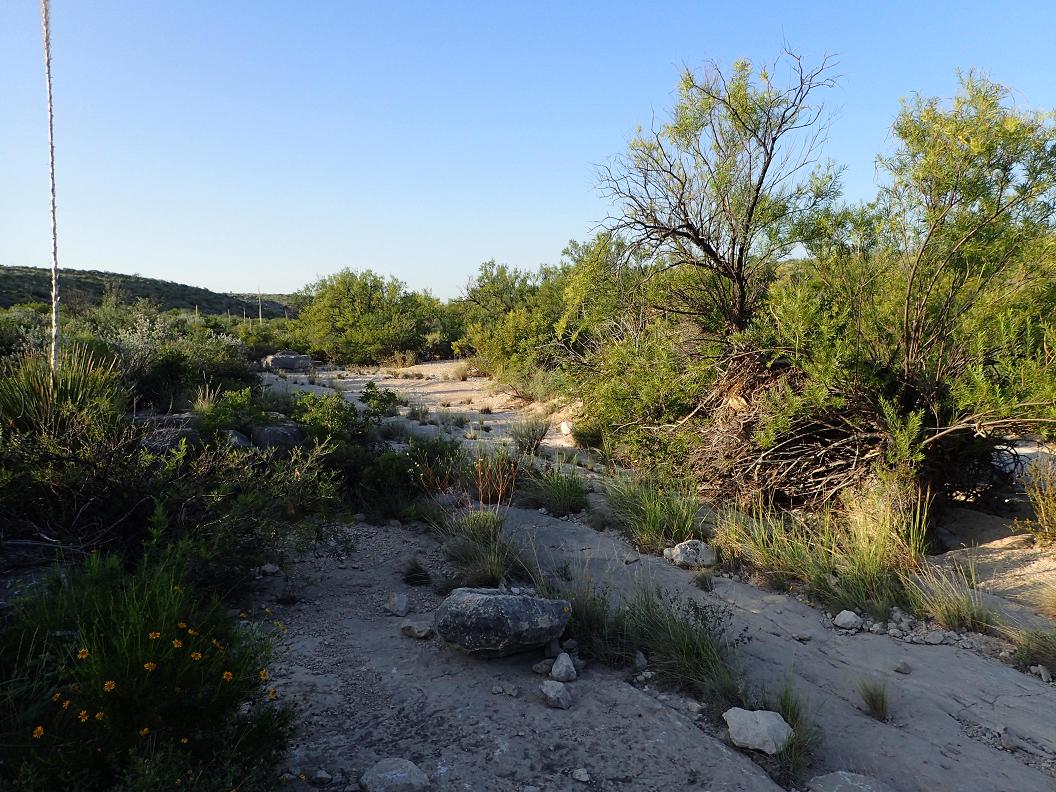 1,259.30 acres south of Sanderson