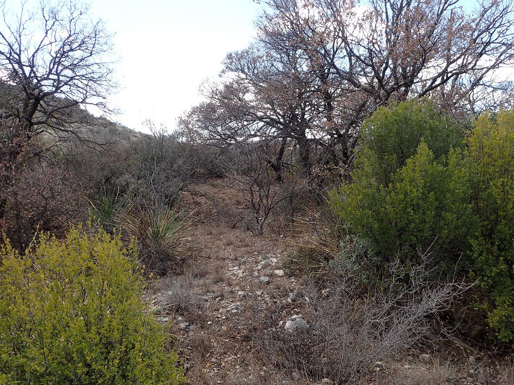 52.11 acres on U.S. Hwy 285, just north of Sanderson