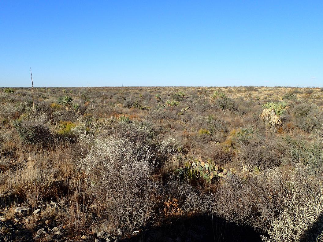 186.04 acres south of Sanderson