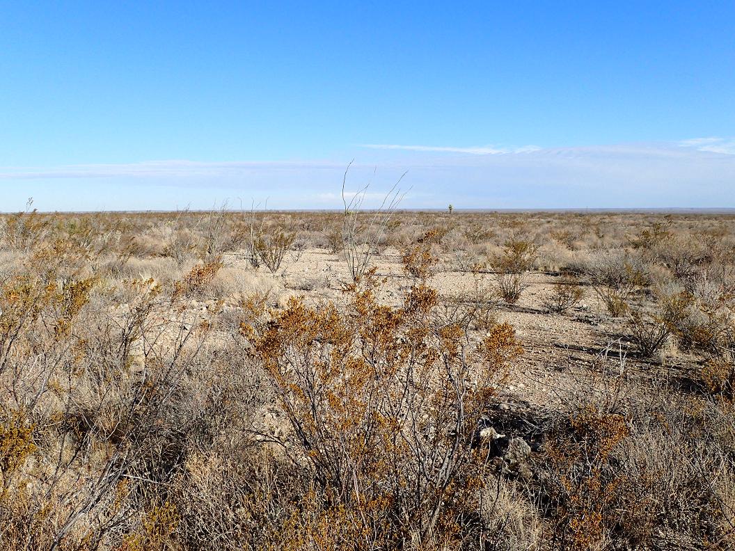 186.04 acres south of Sanderson