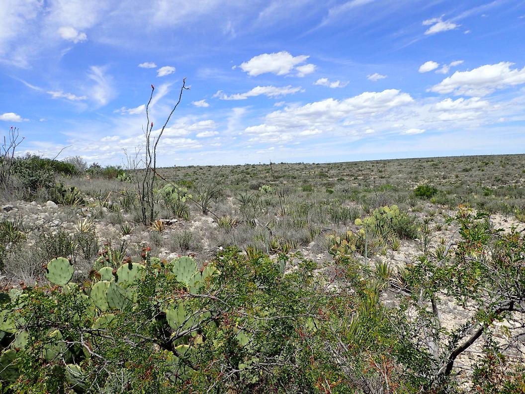 183.62 acres south of Sanderson