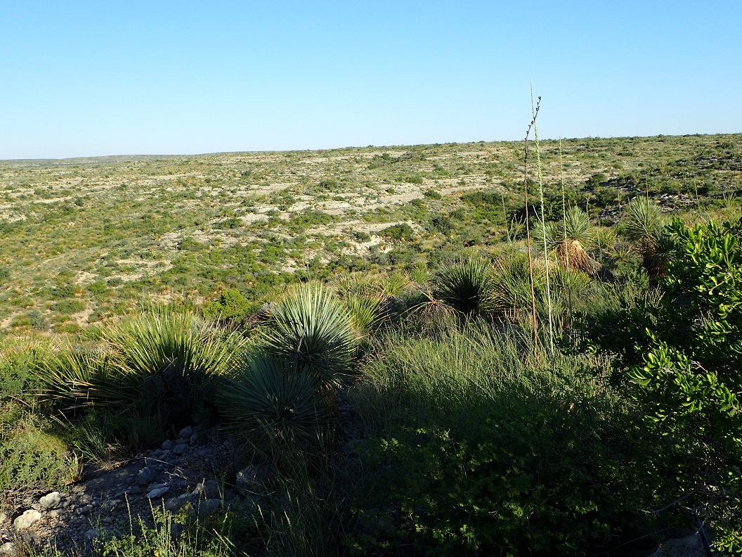 361.17 acres south of Sanderson