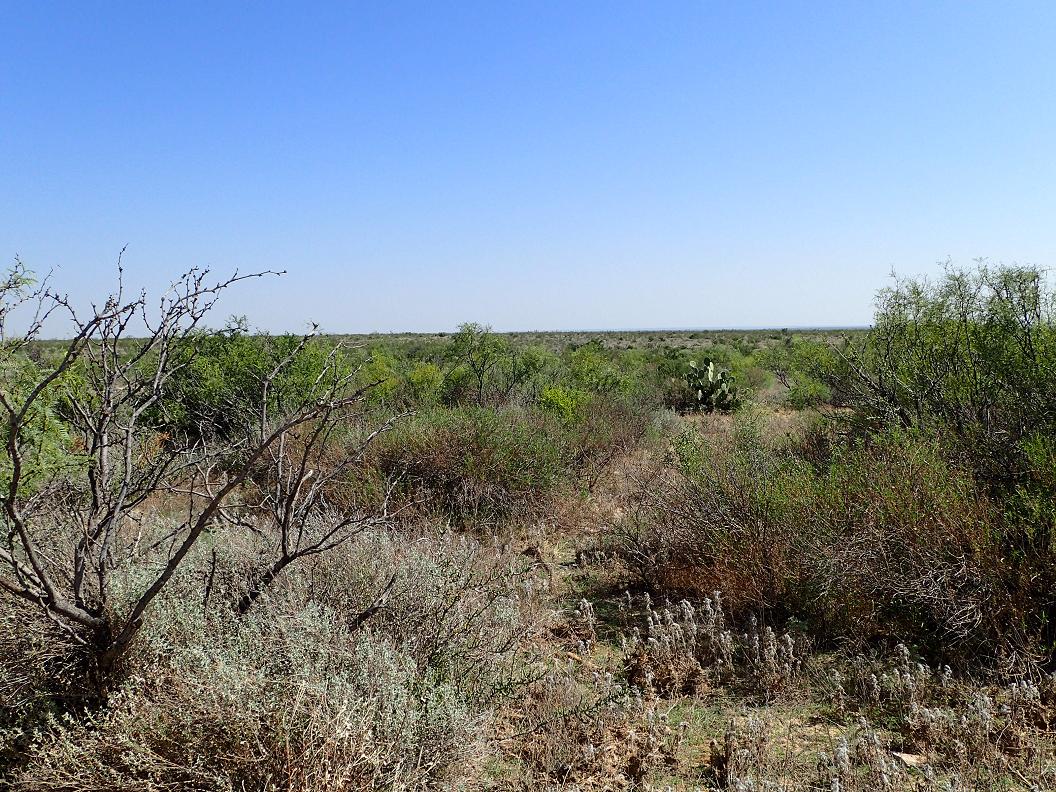 Cook Creek Ranch