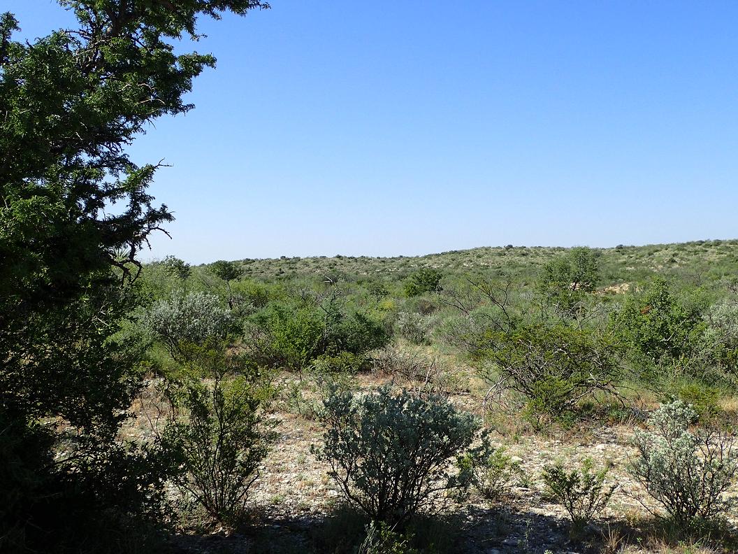 Cook Creek Ranch