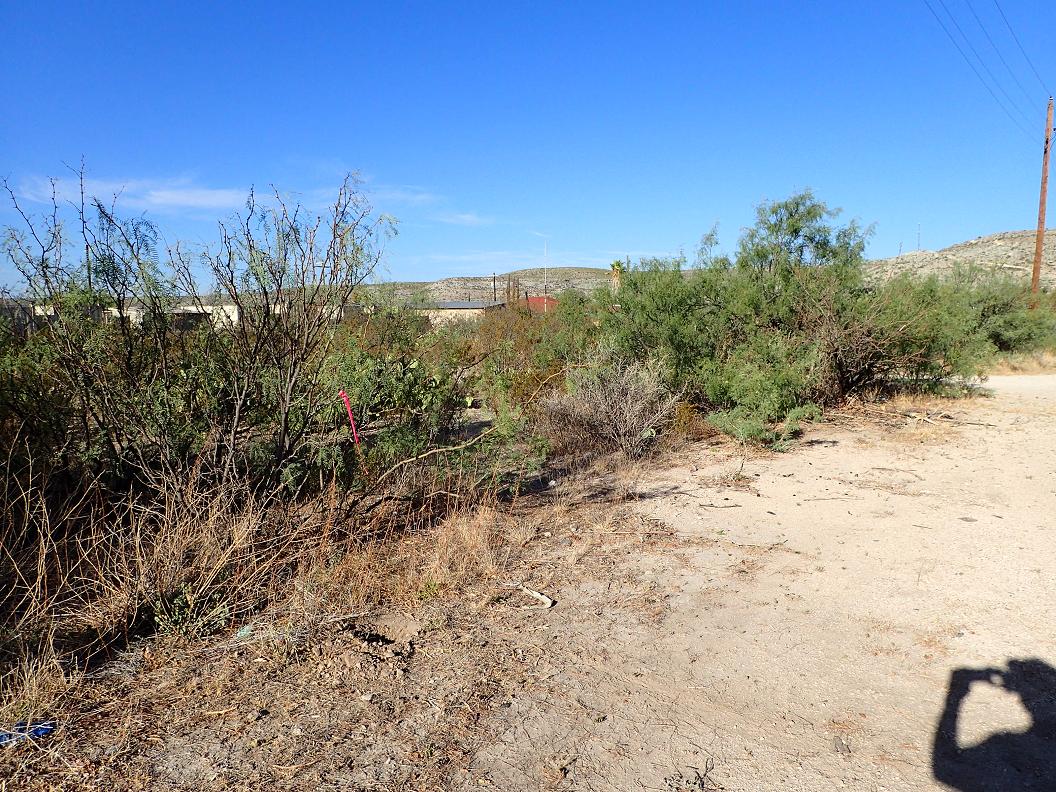 5 lots in sanderson texas