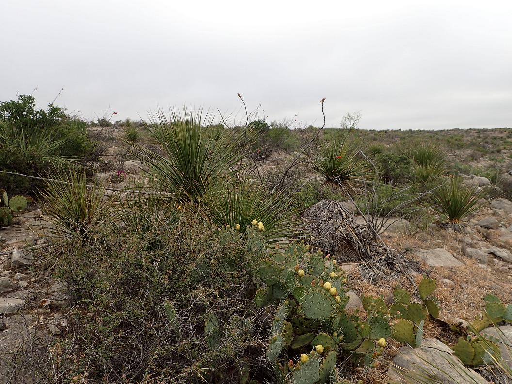 122.02 acres south of Sanderson