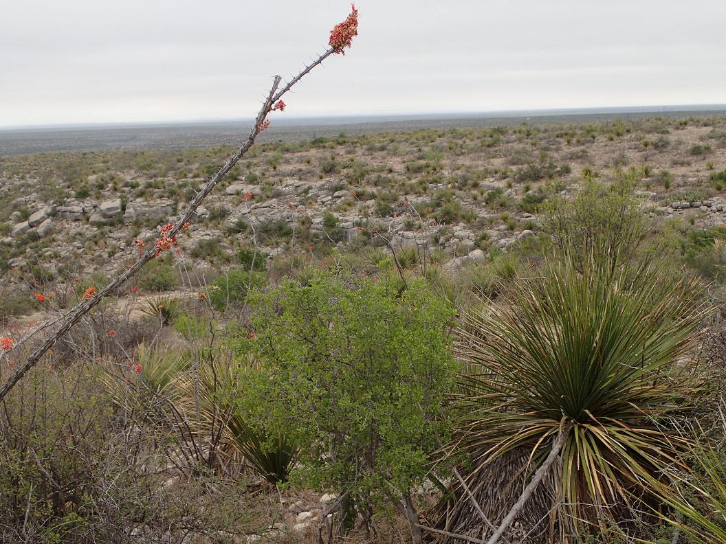 122.02 acres south of Sanderson