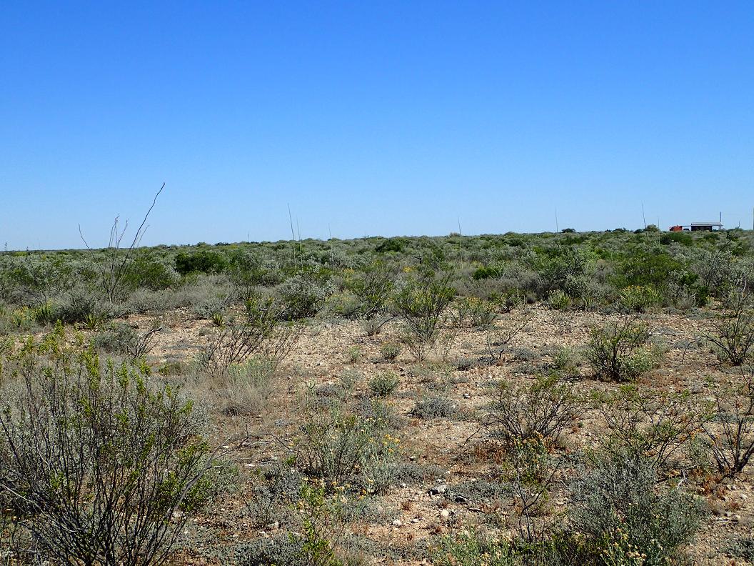 99.98 acres south of Sanderson
