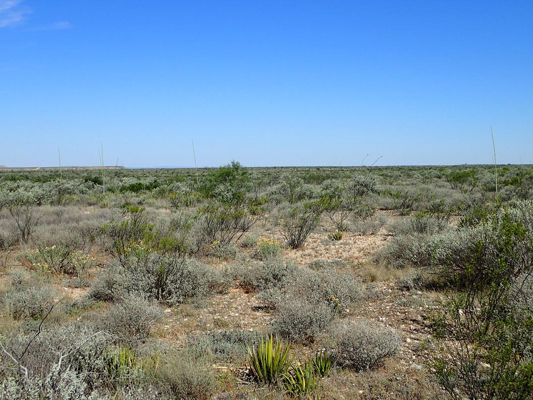 99.98 acres south of Sanderson
