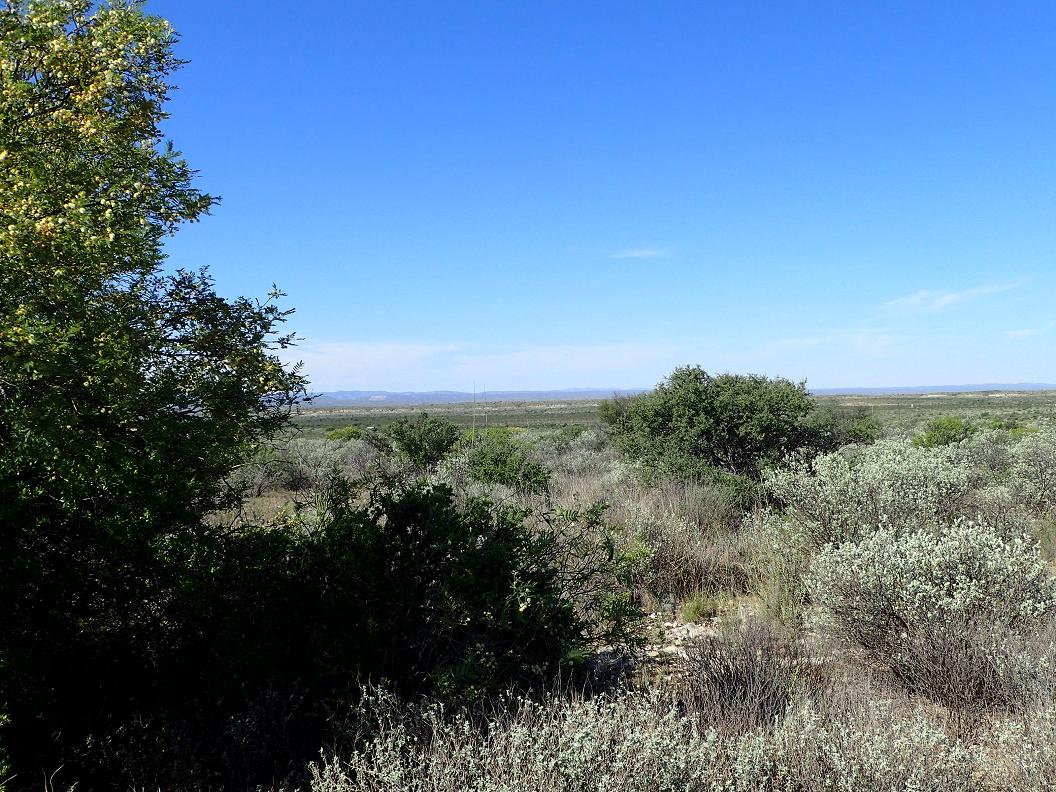 99.98 acres south of Sanderson