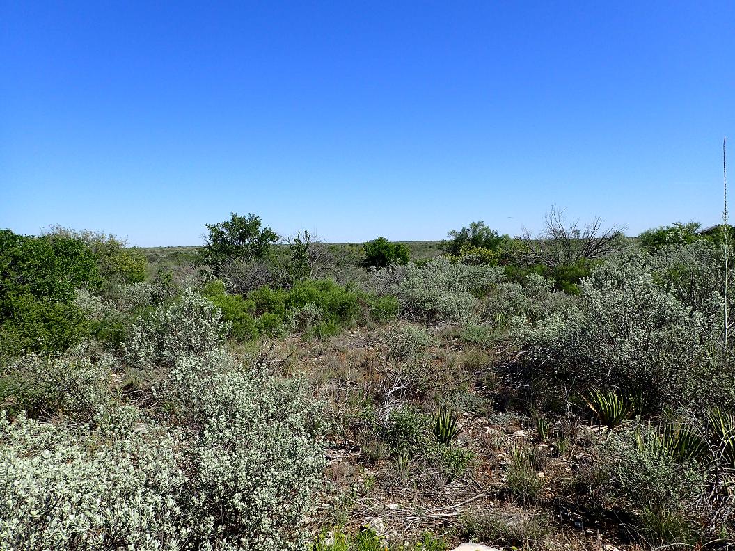 99.98 acres south of Sanderson