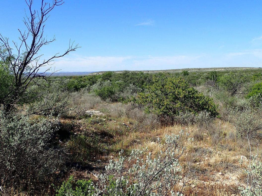 99.98 acres south of Sanderson
