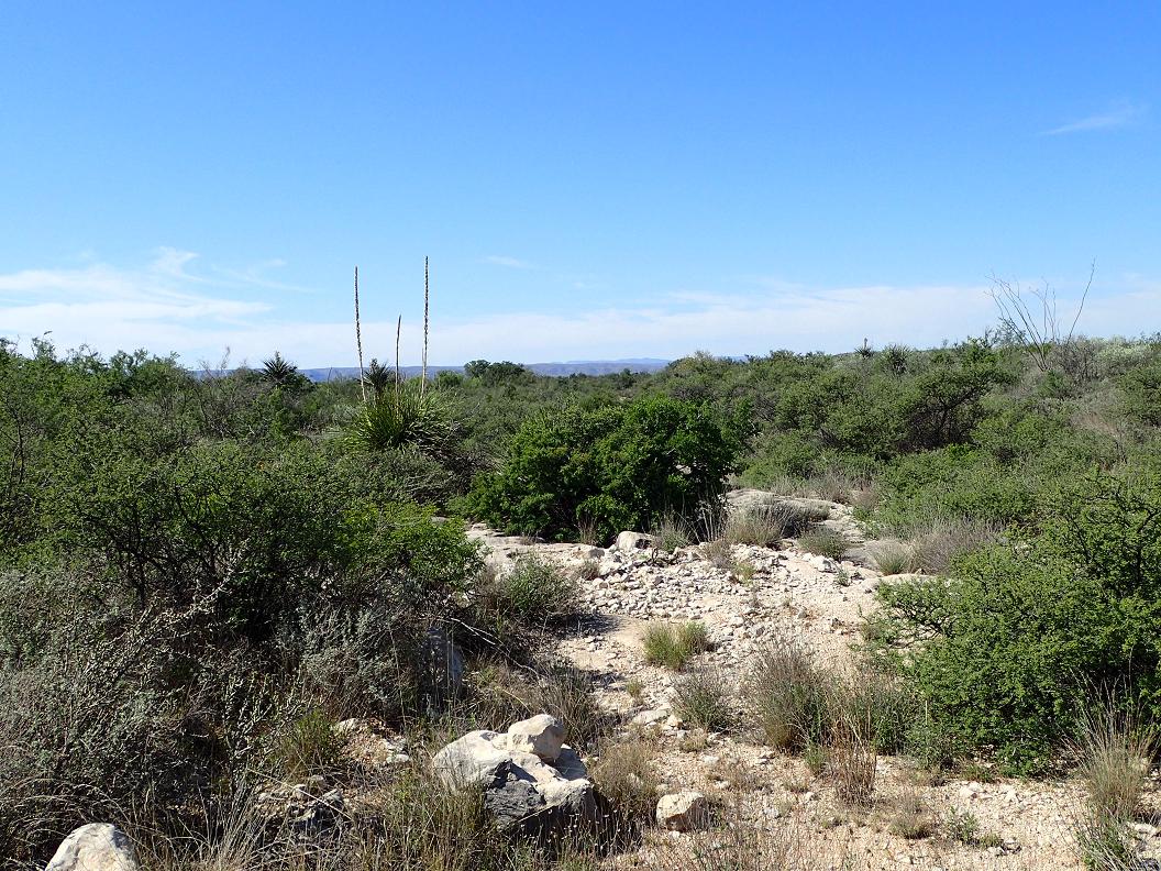 99.98 acres south of Sanderson