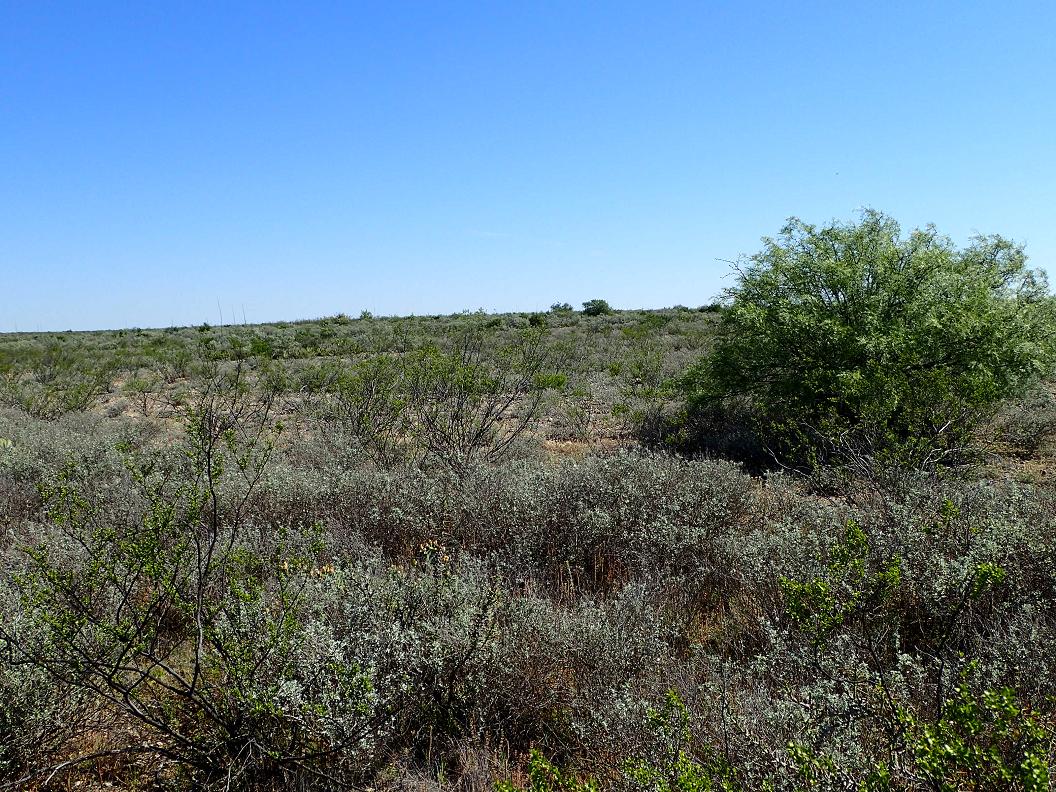 99.98 acres south of Sanderson