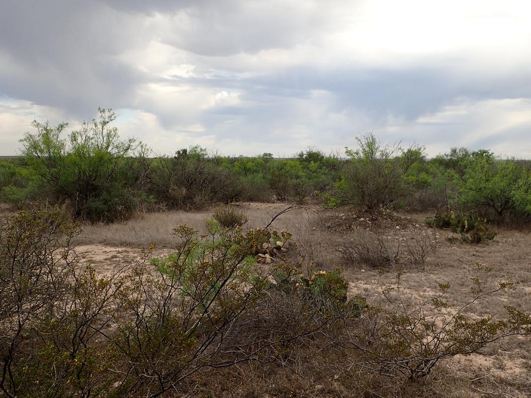 454.74 acres between Sanderson and Dryden